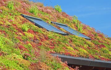 Poundland living roof systems